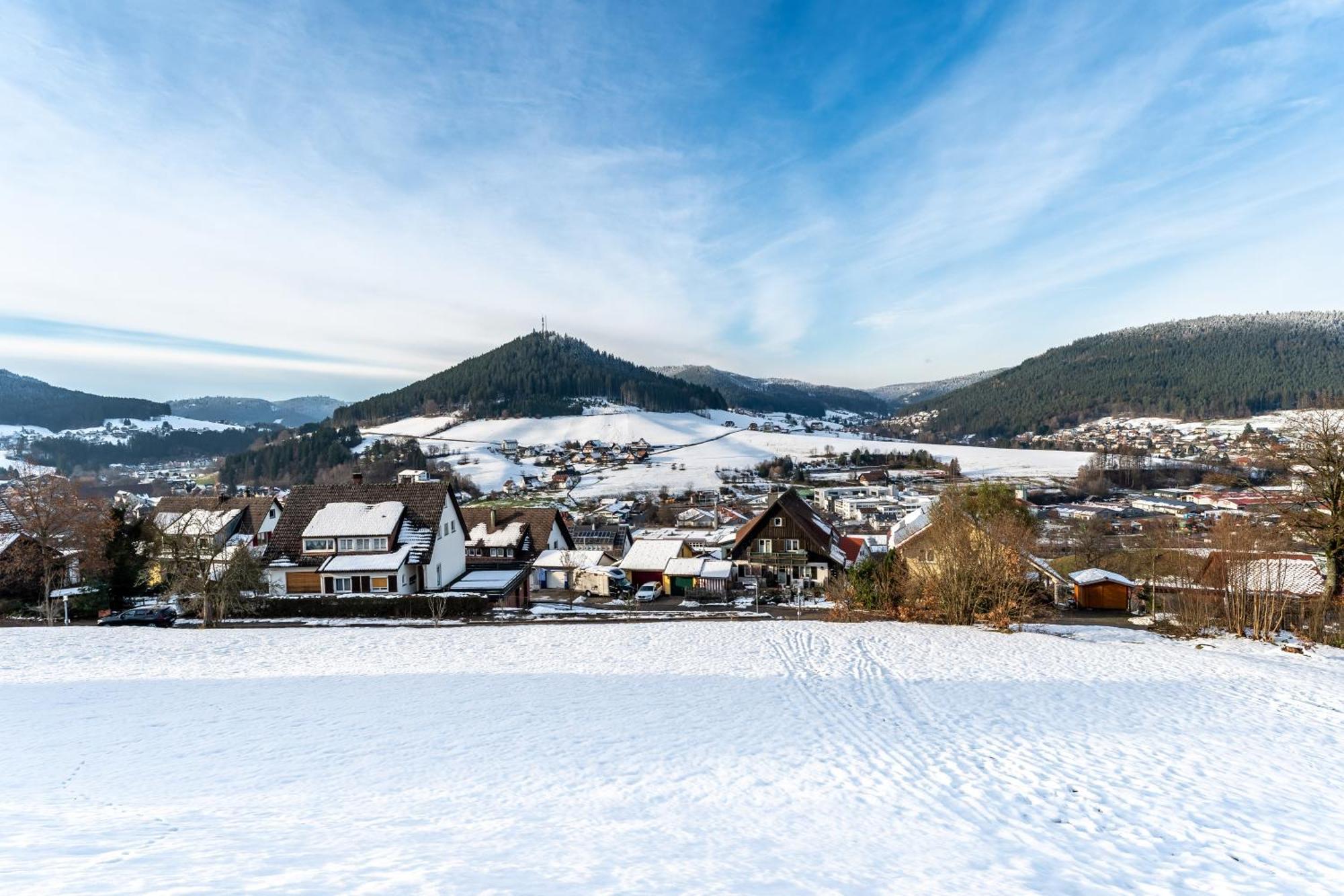 Apartamento Juri5 In Baiersbronn Mit Pool Exterior foto