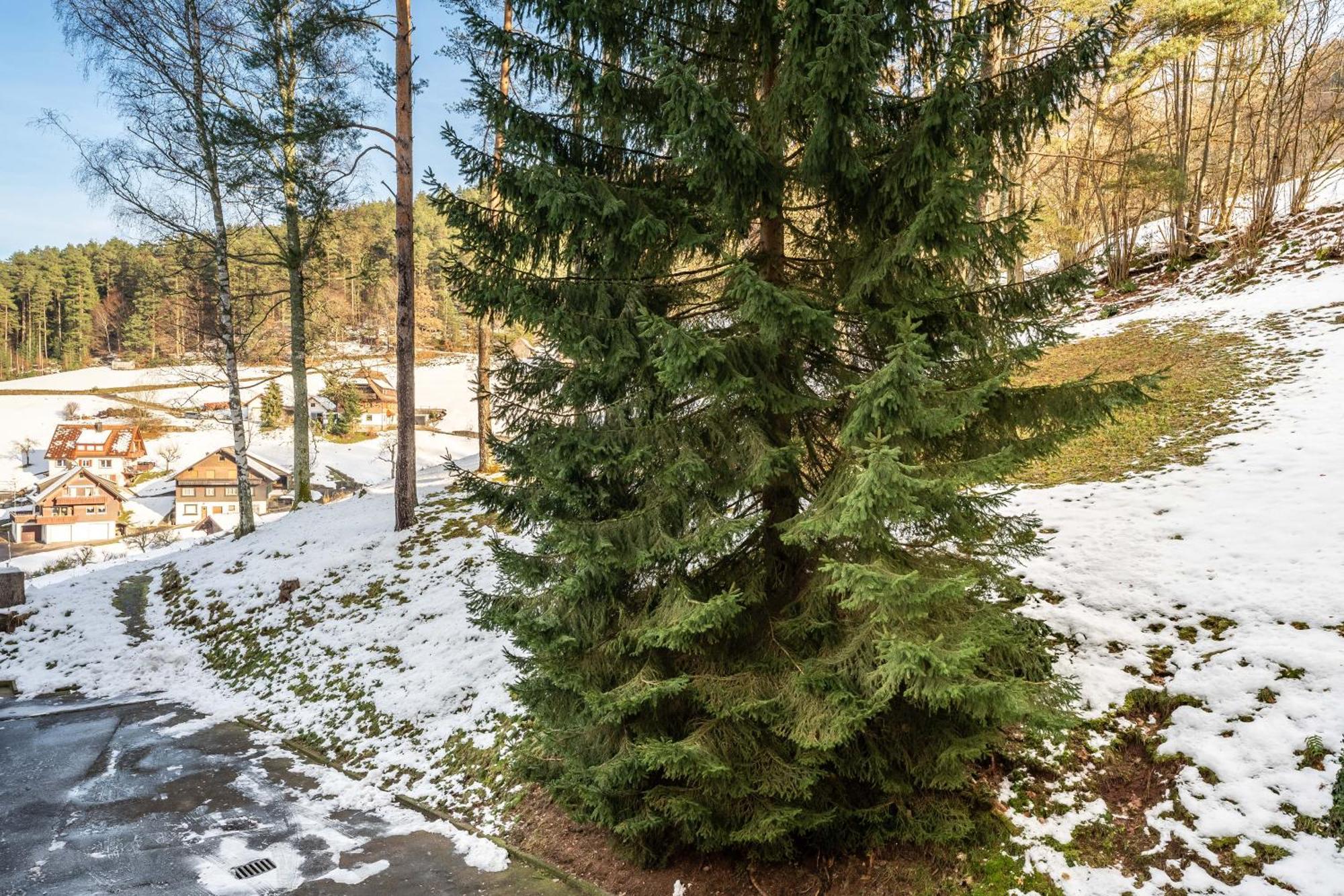 Apartamento Juri5 In Baiersbronn Mit Pool Exterior foto